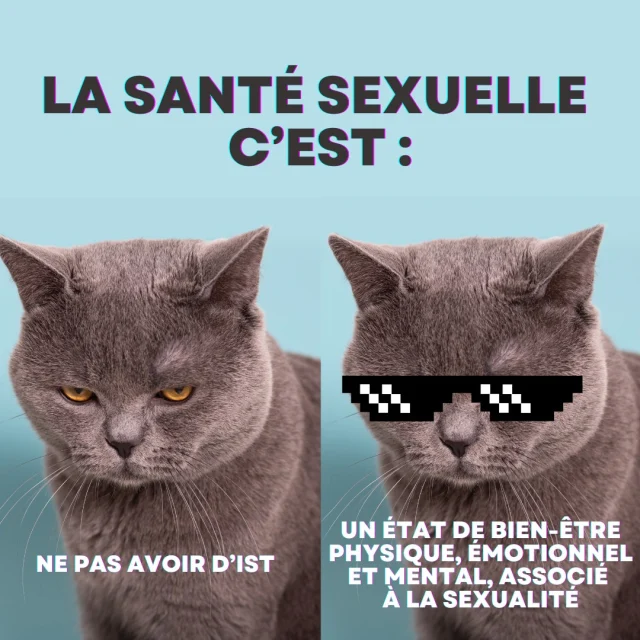 Le 4 septembre, c'est la Journée Mondiale de la santé sexuelle 💜
L'occasion de rappeler qu'une bonne santé sexuelle, ce n'est pas juste ne pas avoir d'infection sexuellement transmissible (IST). Ça va bien plus loin que ça ! 😍

👩🏾‍🏫 C'est "un état de bien-être physique, émotionnel, mental et social en matière de sexualité"

La base pour une bonne santé sexuelle ? 
💜 PROTECTION
💜 RESPECT
💜 BIEN-ÊTRE
💜 COMMUNICATION
💜 CONSENTEMENT 
💜 DROITS HUMAINS PROTÉGÉS (sans discrimination ni violence)

 #journeemondiale #ist #prevention #santé #amour #respect #bienetre #BienEtre