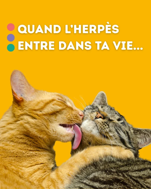 🦠 Une fois qu'on a attrapé le virus de l'herpès g-nital, on vit avec. Mais il est possible de limiter l'apparition des poussées ou leur durée. 

 #santé #prevention #Herpès
