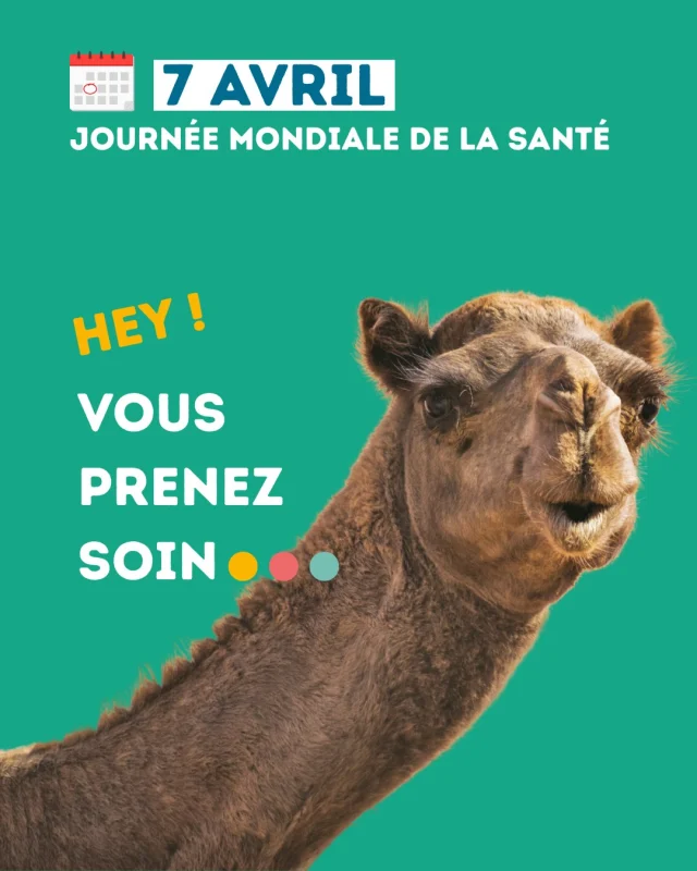 La 5ème image risque d'apparaître dans votre tête juste avant d'avoir un rapport non protégé dorénavant 🥲 😂 

🗓️ 7 avril | Journée Mondiale de la santé !
Prendre soin de vous, c'est aussi prendre soin de votre santé s*xuelle ❤️

#SantéSexuelle #Dépistage #IST #Prévention #JournéeMondialeDeLaSanté